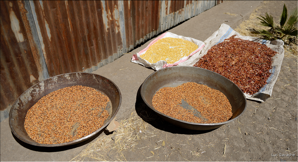 Dans les rues de Lalibela. (30)