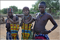 Les Hamer ont su garder leur mode vie intacte. (67)