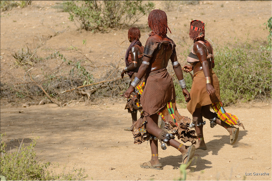 Chez les Hamer la fête la plus importante est l'Ukuli, le passage à l'age adulte d'un jeune garçon. Ici rassemblement des intervenants dans un endroit dégagé près du village. (2)