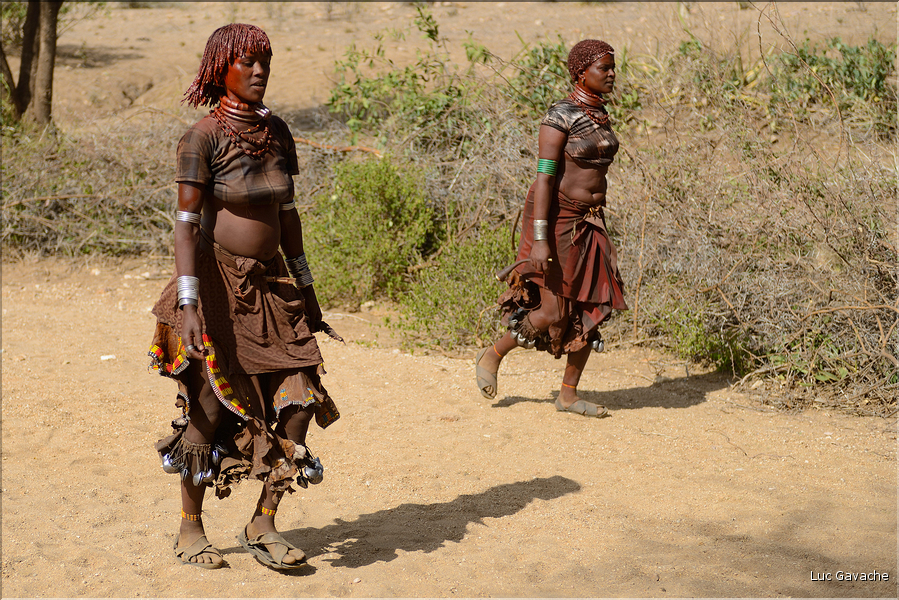 Chez les Hamer la fête la plus importante est l'Ukuli, le passage à l'age adulte d'un jeune garçon. Ici rassemblement des intervenants dans un endroit dégagé près du village. (3)