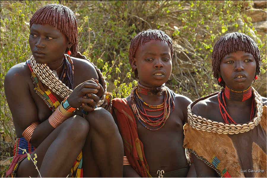 ...sous le regard des autres Hamer des villages environnent. (3)