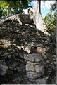 Le site maya de Copn (Honduras) est d'une grande richesse. (16)