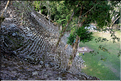 Le site maya de Copn (Honduras) est d'une grande richesse. (18)