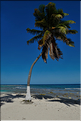 Le Belize est surtout connu pour son littorale et ses nombreuses îles. Ici le miniscule îlot de Goff's Caye. (12)