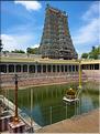 Le Temple de Sri Meenaski de Madurai est l'un des plus grands d'Inde. Il date du VIII ème siècle mais a été rebati au XIII et au XVII ème siècle. (1)