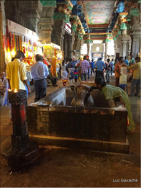 Le Temple de Sri Meenaski de Madurai est l'un des plus grands d'Inde. Il date du VIII ème siècle mais a été rebati au XIII et au XVII ème siècle. (22)