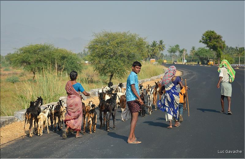 Madurai et ses environs. (4)