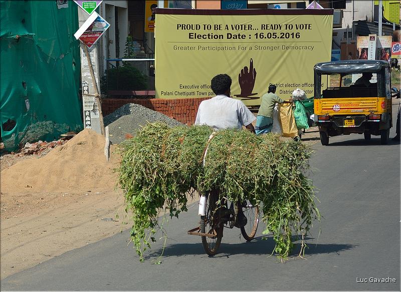 Madurai et ses environs. (10)