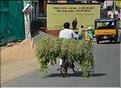 Madurai et ses environs. (10)
