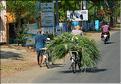 Madurai et ses environs. (11)