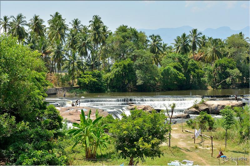 Dans les environs de Cumbum. (2)