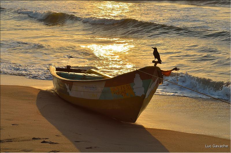 Plage des pêcheurs de Mahabalipuram. (14)
