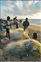 Plage des pêcheurs de Mahabalipuram. (24)