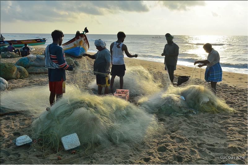 Plage des pêcheurs de Mahabalipuram. (25)