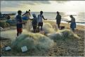 Plage des pêcheurs de Mahabalipuram. (25)