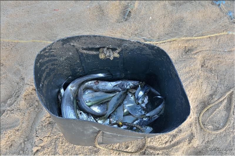 Plage des pêcheurs de Mahabalipuram. (26)