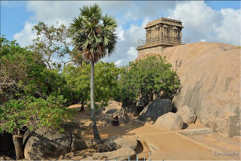 Arjuna's Penance représente la descente du Gange et date du VI et VIII ème siècle. Mahabalipuram. (5)
