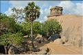 Arjuna's Penance représente la descente du Gange et date du VI et VIII ème siècle. Mahabalipuram. (5)