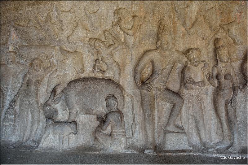 Arjuna's Penance représente la descente du Gange et date du VI et VIII ème siècle. Mahabalipuram. (11)
