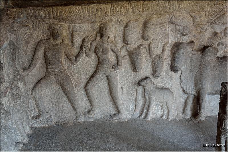 Arjuna's Penance représente la descente du Gange et date du VI et VIII ème siècle. Mahabalipuram. (14)