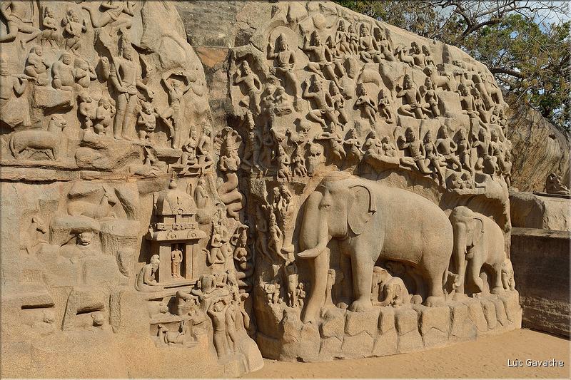 Arjuna's Penance représente la descente du Gange et date du VI et VIII ème siècle. Mahabalipuram. (16)