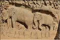 Arjuna's Penance représente la descente du Gange et date du VI et VIII ème siècle. Mahabalipuram. (17)
