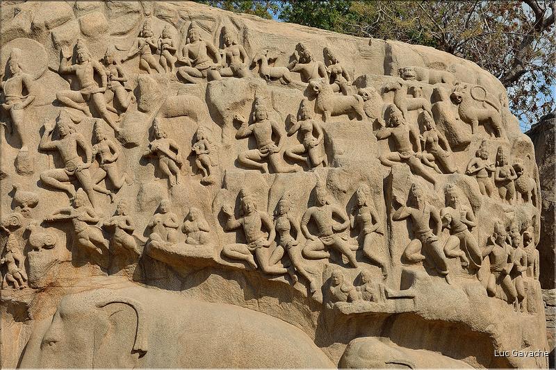 Arjuna's Penance représente la descente du Gange et date du VI et VIII ème siècle. Mahabalipuram. (18)