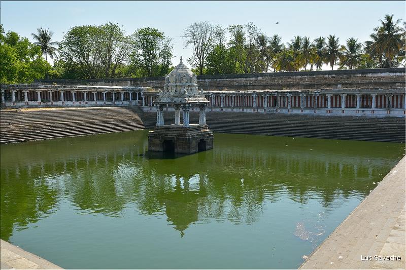 Dans le Temple d'Ekambareshwara de Kanchipuram. (6)