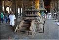 Dans le Temple d'Ekambareshwara de Kanchipuram. (10)