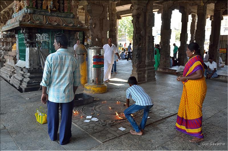 Dans le Temple d'Ekambareshwara de Kanchipuram. (12)