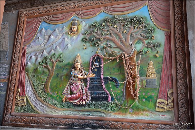 Dans le Temple d'Ekambareshwara de Kanchipuram. (13)