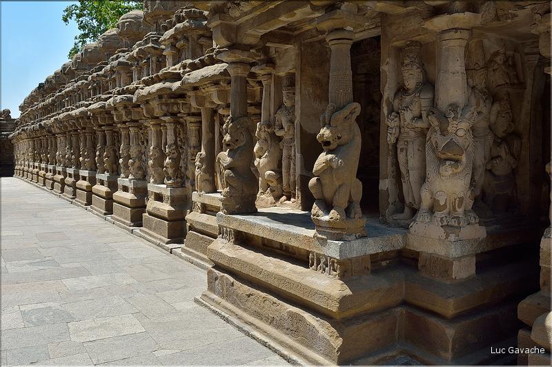 Le Temple de Kailashanatha de Kanchipuram date du VIII ème siècle. (5)