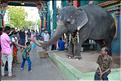Le temple de Sri Manakula Vinayagar est dédié à Ganesh. Pondichery. (1)