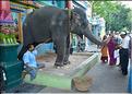 Le temple de Sri Manakula Vinayagar est dédié à Ganesh. Pondichery. (2)