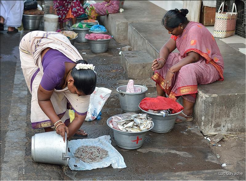 Le marché de Pondichery. (2)