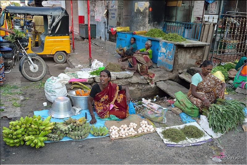 Le marché de Pondichery. (10)