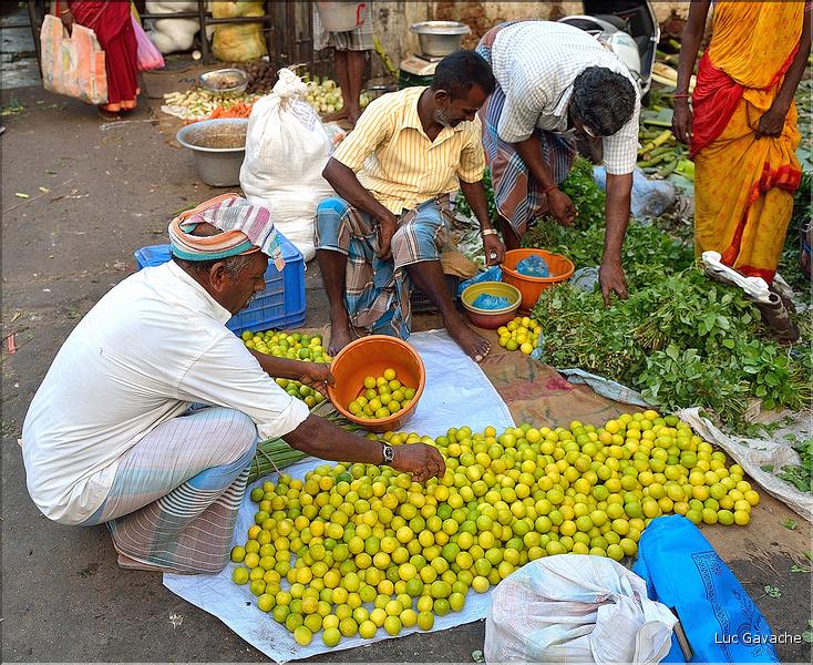 Le marché de Pondichery. (12)