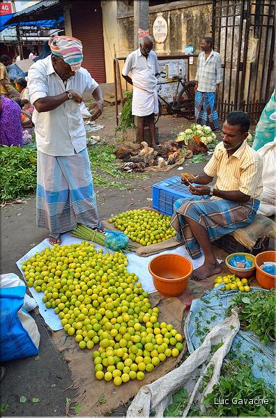 Le marché de Pondichery. (13)