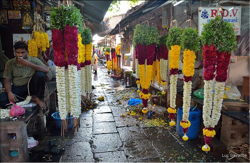 Le marché de Pondichery. (14)