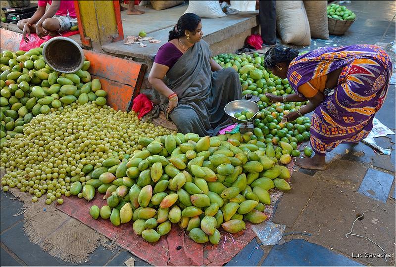Le marché de Pondichery. (16)