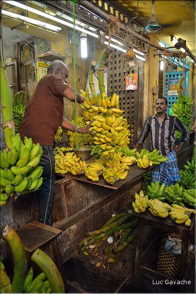 Le marché de Pondichery. (18)
