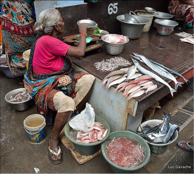 Le marché de Pondichery. (23)