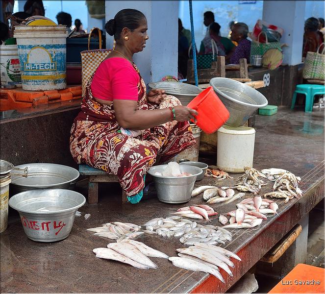 Le marché de Pondichery. (24)