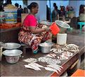 Le marché de Pondichery. (24)