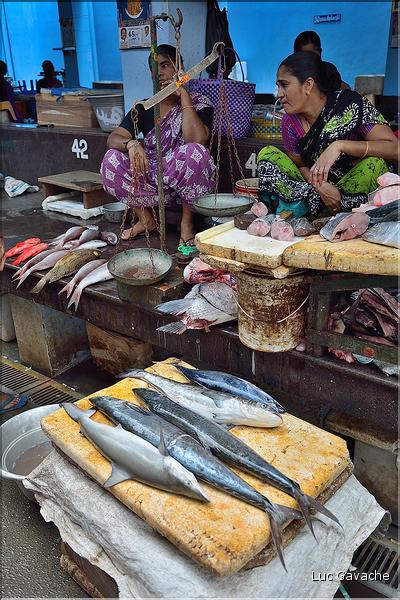 Le marché de Pondichery. (25)