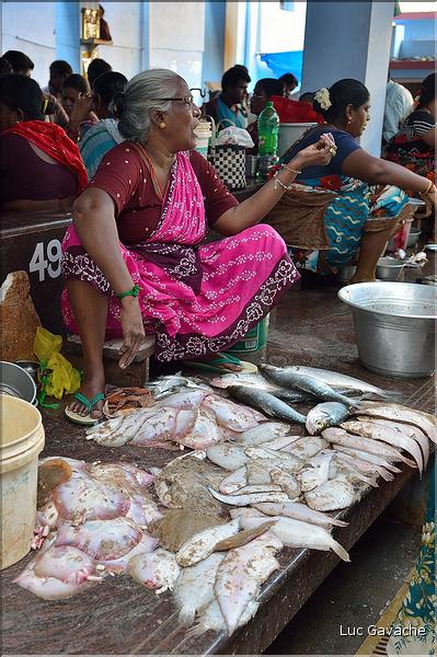 Le marché de Pondichery. (26)