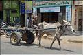 Le long de la route Pondichery-Thanjavur. (11)