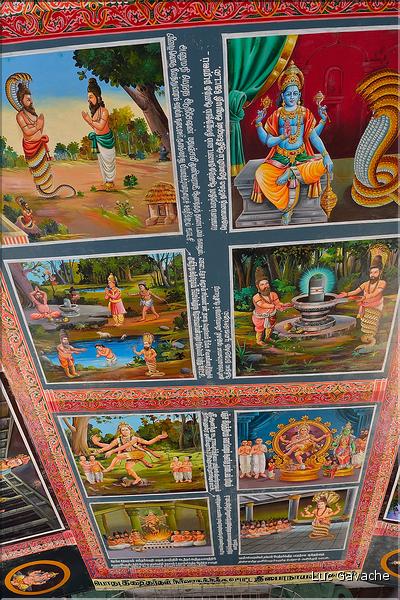 L'immense Temple de Shiva Nataraja de Chidambaram. (16)