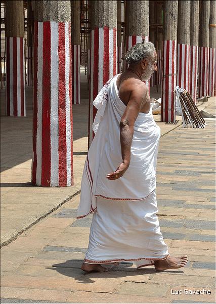 Les Brahmanes du Temple de Shiva Nataraja à Chidambaram. (2)