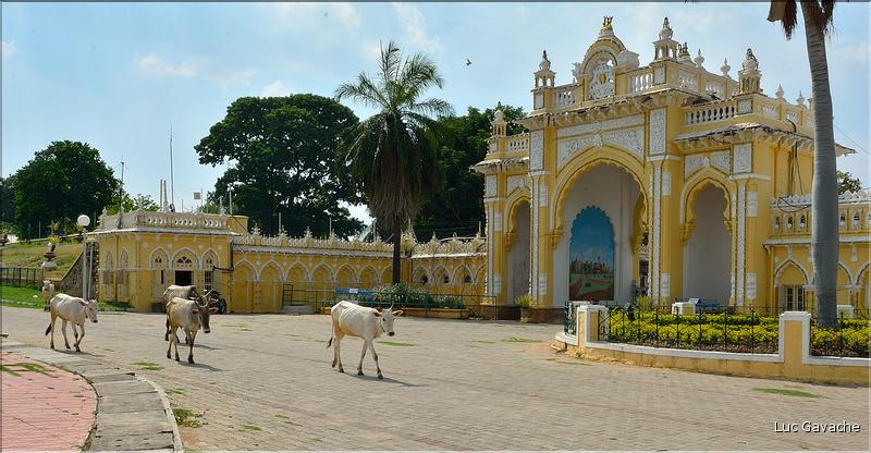 Mysore Palace témoigne de la grandeur des maharajas d'antan. Il est toujours en parti occupé par leur descendant. (21)